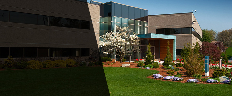 Port Hueneme Landscapers