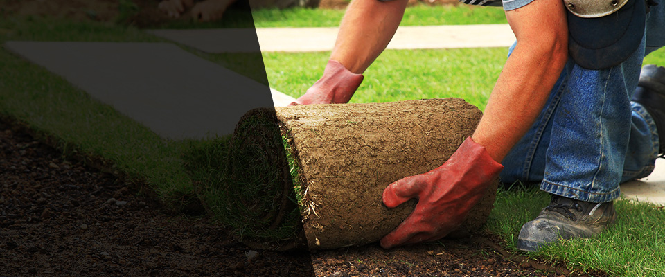 Port Hueneme Landscapers